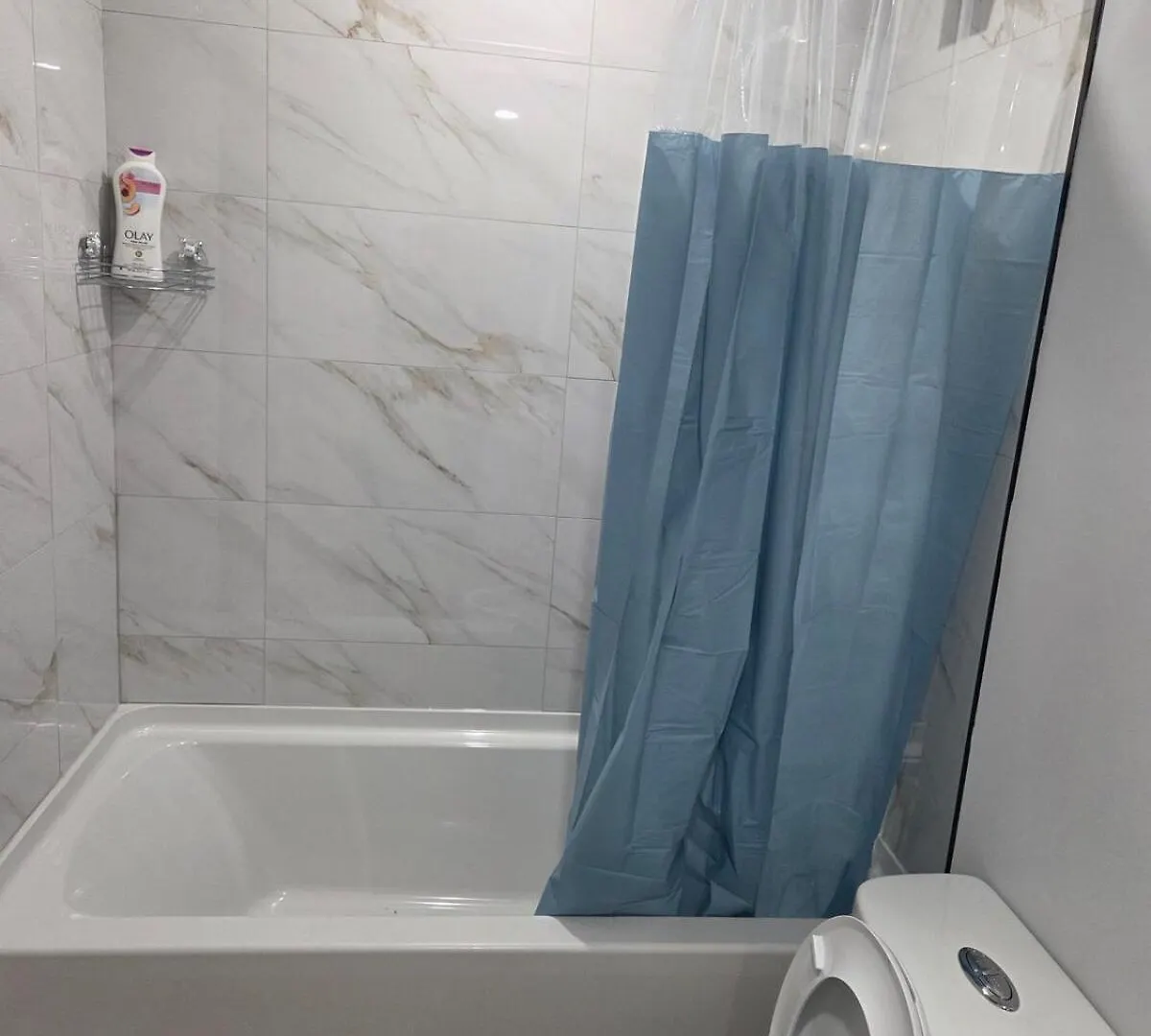Spacious 2 Bedrooms Bsmt Suite Edmonton 0*,